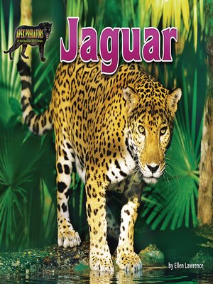 cover image of Jaguar